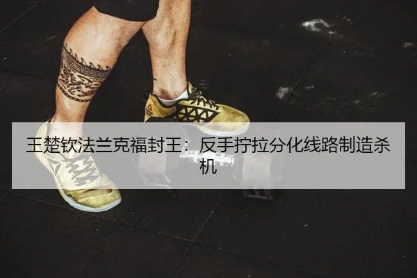 王楚钦法兰克福封王：反手拧拉分化线路制造杀机